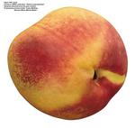 各种水果的素材图片_076