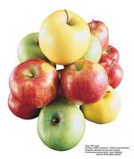 各种水果的素材图片_108