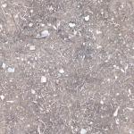 砾石地面图片_046