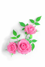 玫瑰的素材图片075
点击下载清晰例图