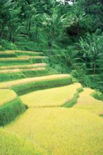 各地风景建筑素材图片30